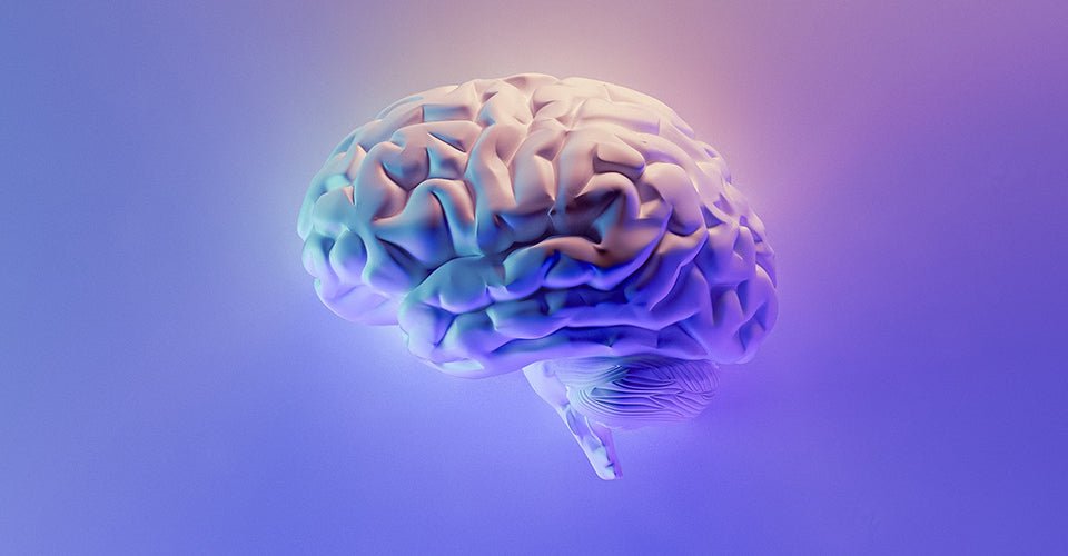 Red Light Therapy for brain health