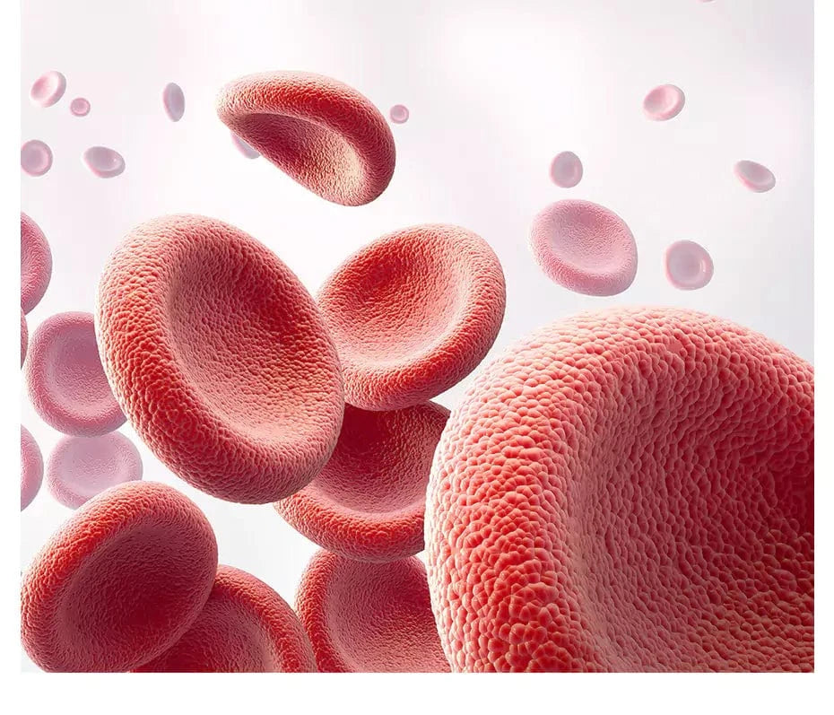 DILATE BLOOD VESSELS
