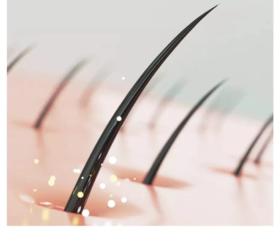 ПРОДОВЛЕНА ФАЗА РОСТУ