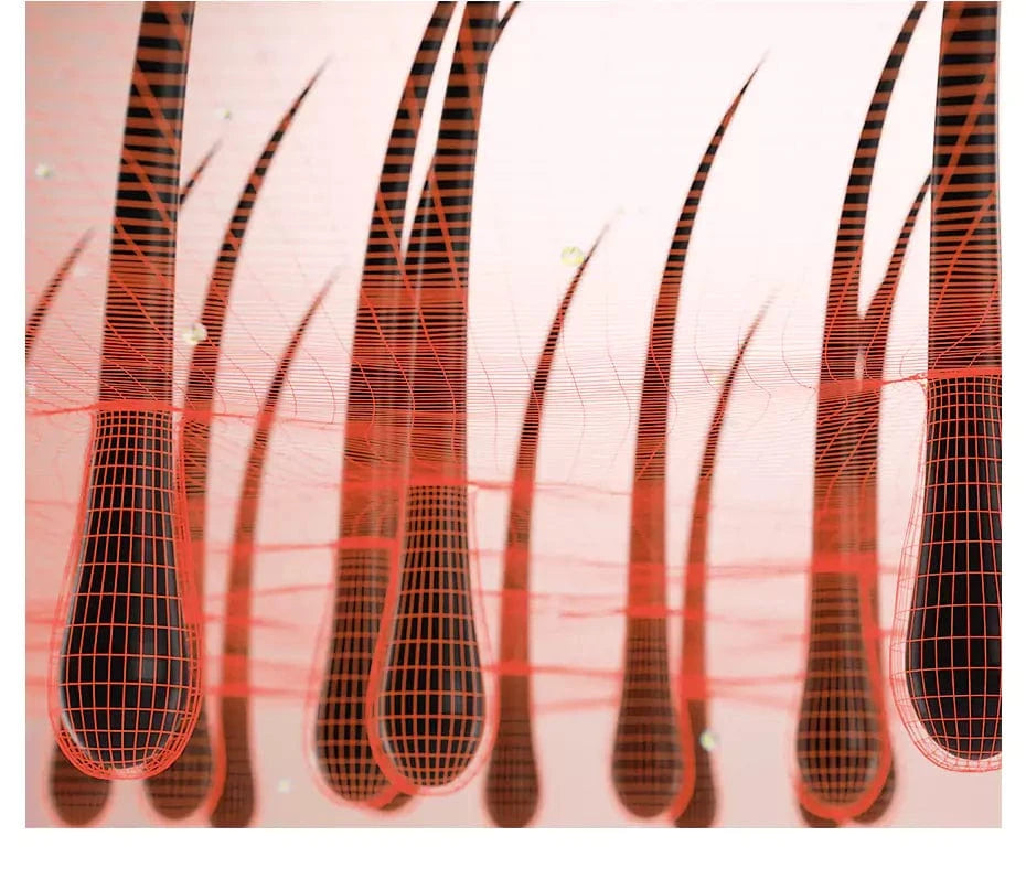 ЖИВЛЕННЯ ФОЛІКУЛІВ ТА КОРЕНІВ ВОЛОССЯ